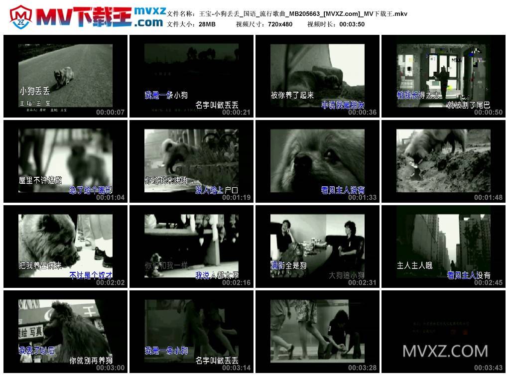 王宝-小狗丢丢_国语_流行歌曲_MB205663